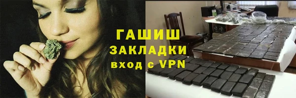 дживик Верхний Тагил
