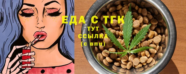 дживик Верхний Тагил