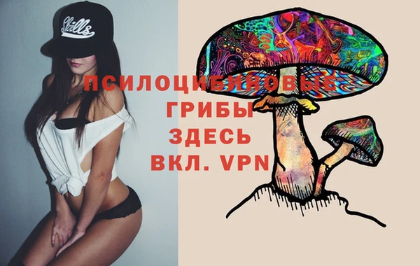 дживик Верхний Тагил