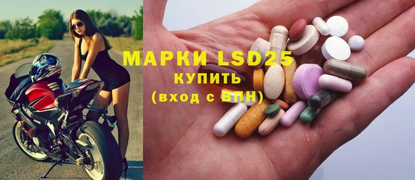 дживик Верхний Тагил