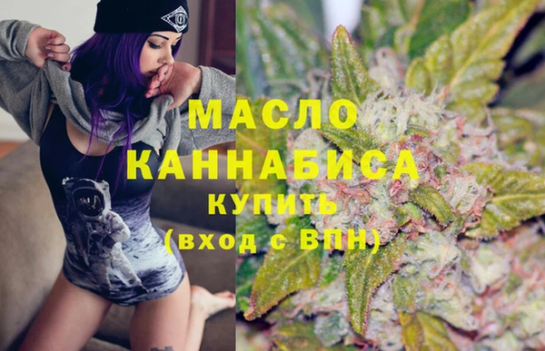 дживик Верхний Тагил