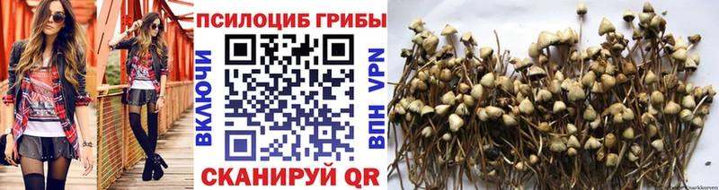Псилоцибиновые грибы MAGIC MUSHROOMS  гидра рабочий сайт  Смоленск 